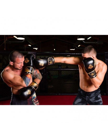 10oz Boxing Gloves Aureos Valor Series