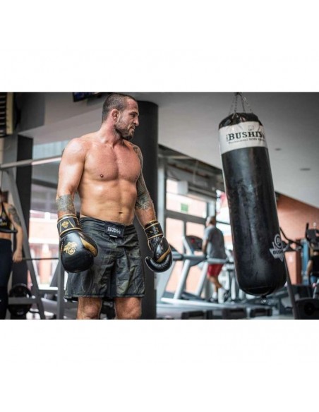 10oz Boxing Gloves Aureos Valor Series