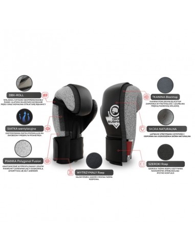 10oz Boxing Gloves Aureos Valor Series