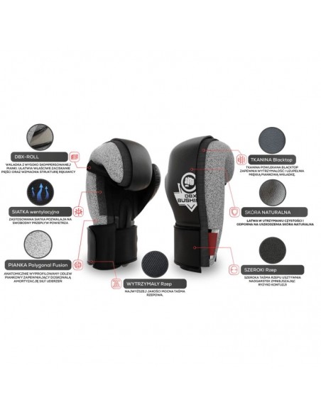 10oz Boxing Gloves Aureos Valor Series