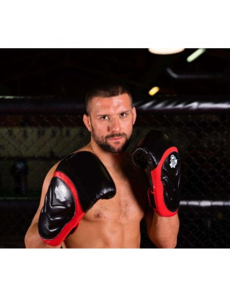 10oz Boxing Gloves Blaze Red Legacy Series