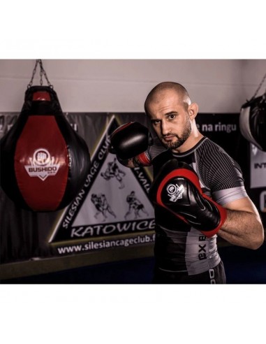 10oz Boxing Gloves Blaze Red Legacy Series