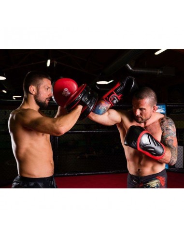 10oz Boxing Gloves Blaze Red Legacy Series