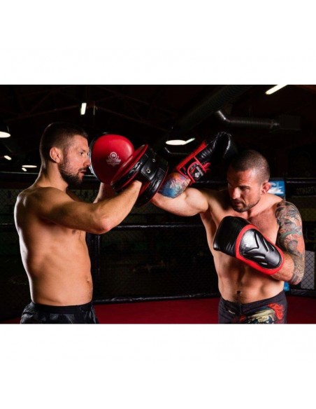 10oz Boxing Gloves Blaze Red Legacy Series