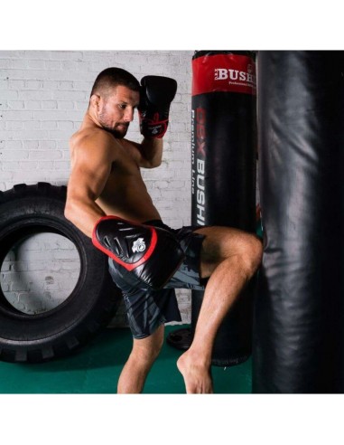 10oz Boxing Gloves Blaze Red Legacy Series