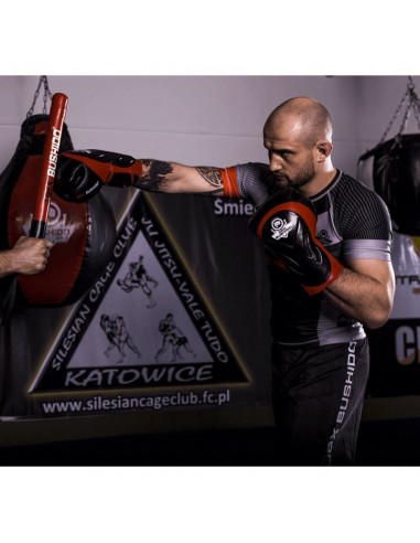 10oz Boxing Gloves Blaze Red Legacy Series