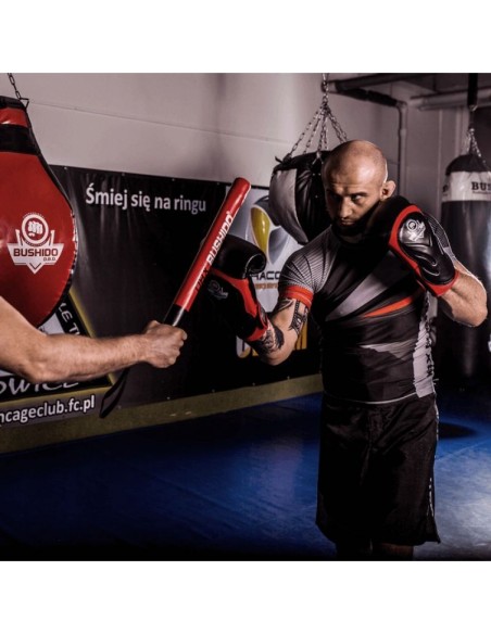 10oz Boxing Gloves Blaze Red Legacy Series