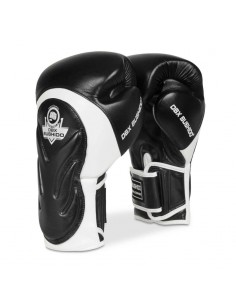 10oz Boxing Gloves Blaze...