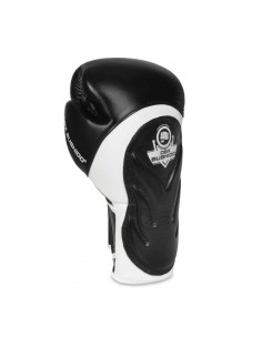 10oz Boxing Gloves Blaze... 2