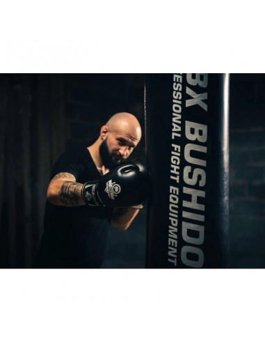 10oz Boxing Gloves Classic White...