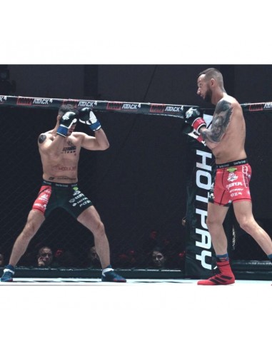 10oz Boxing Gloves Classic White...