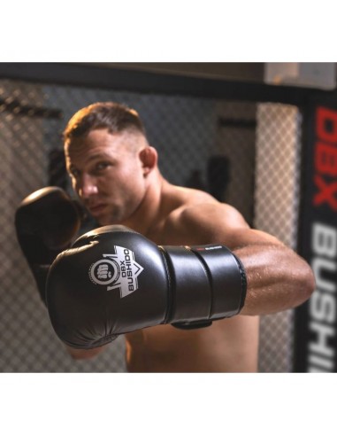 10oz Boxing Gloves Eclipse Origin Series