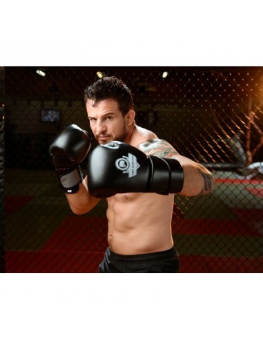 10oz Boxing Gloves Eclipse Origin Series