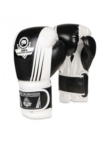 10oz Boxing Gloves Edge Valor Series