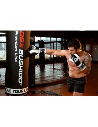 10oz Boxing Gloves Edge Valor Series