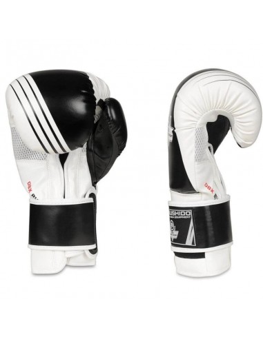 10oz Boxing Gloves Edge Valor Series