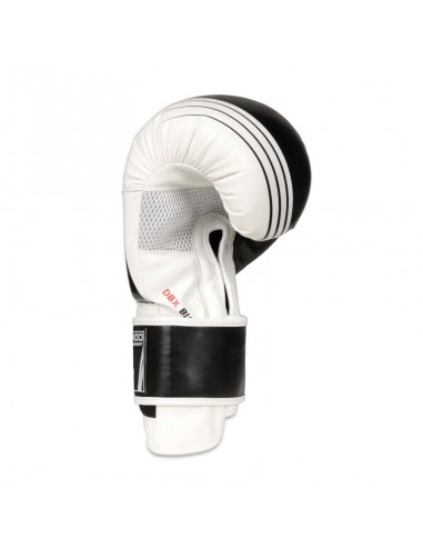 10oz Boxing Gloves Edge Valor Series