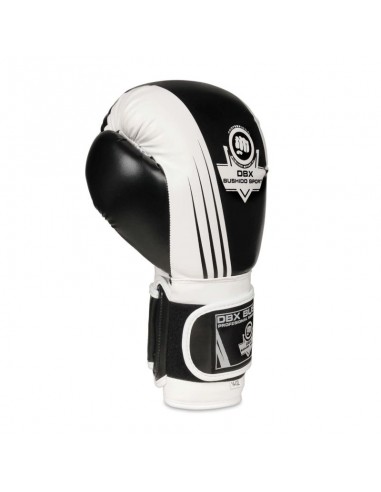 10oz Boxing Gloves Edge Valor Series