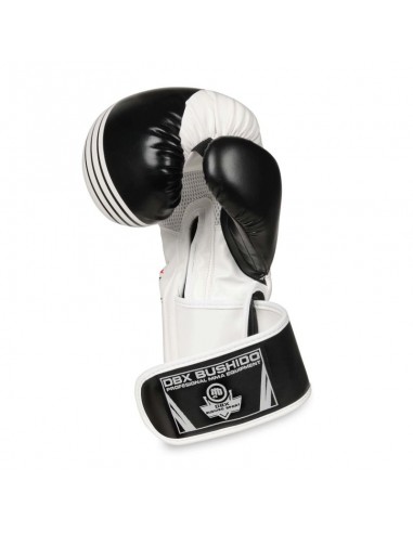 10oz Boxing Gloves Edge Valor Series