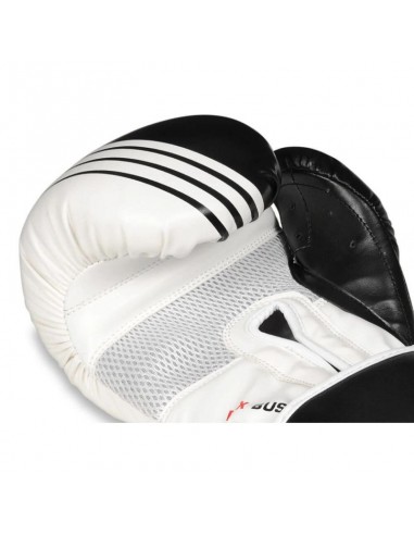 10oz Boxing Gloves Edge Valor Series