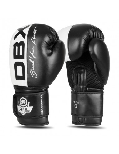 10oz Boxing Gloves Harmony Valor Series
