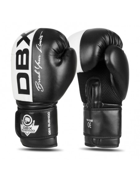 10oz Boxing Gloves Harmony Valor Series