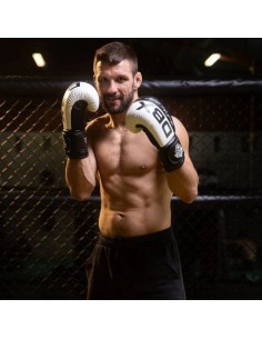 10oz Boxing Gloves Harmony... 2