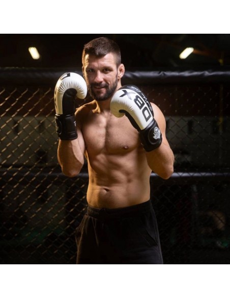 10oz Boxing Gloves Harmony Valor Series