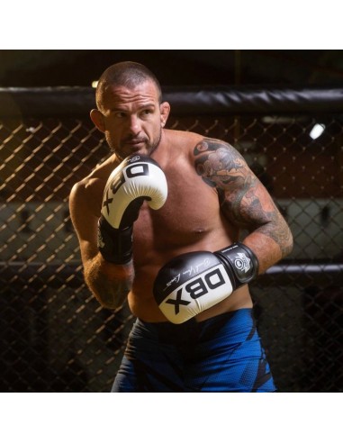 10oz Boxing Gloves Harmony Valor Series