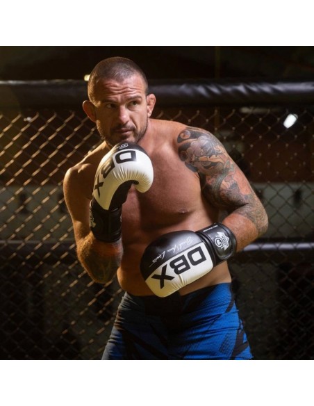 10oz Boxing Gloves Harmony Valor Series