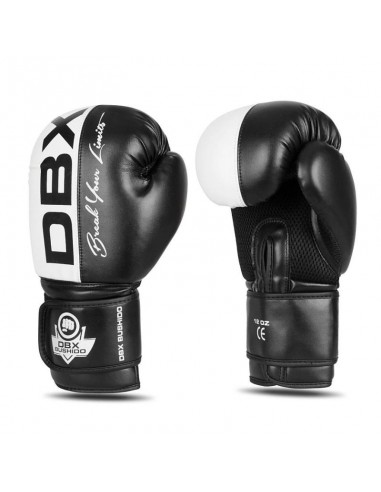 10oz Boxing Gloves Harmony Valor Series
