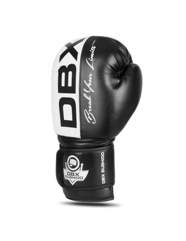 10oz Boxing Gloves Harmony Valor Series