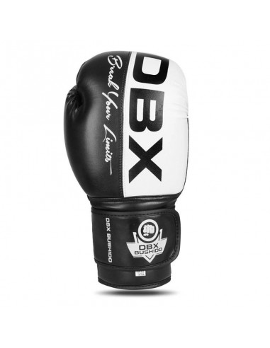 10oz Boxing Gloves Harmony Valor Series