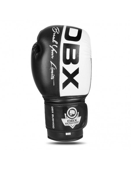 10oz Boxing Gloves Harmony Valor Series