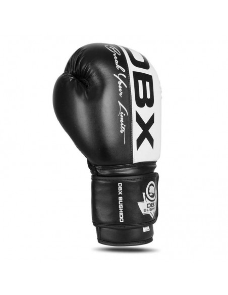 10oz Boxing Gloves Harmony Valor Series