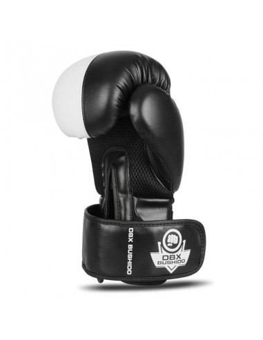 10oz Boxing Gloves Harmony Valor Series