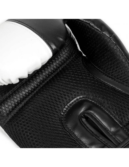 10oz Boxing Gloves Harmony Valor Series