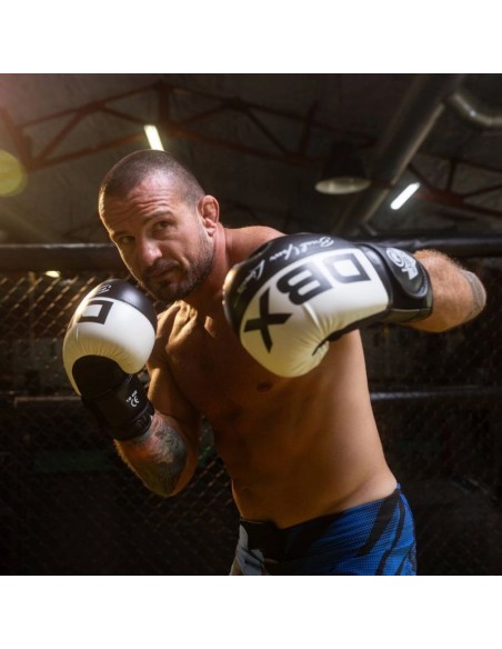 10oz Boxing Gloves Harmony Valor Series