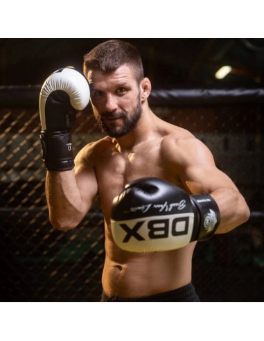 10oz Boxing Gloves Harmony Valor Series