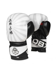 10oz Boxing Gloves Japan...