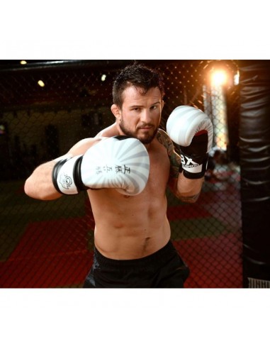 10oz Boxing Gloves Japan Valor Series