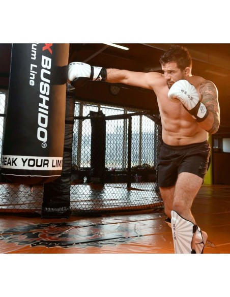 10oz Boxing Gloves Japan Valor Series