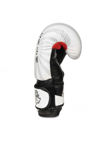 10oz Boxing Gloves Japan Valor Series