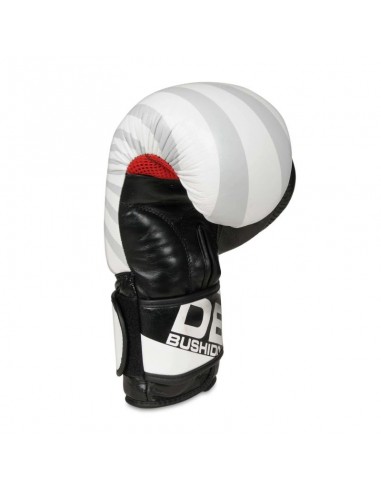 10oz Boxing Gloves Japan Valor Series