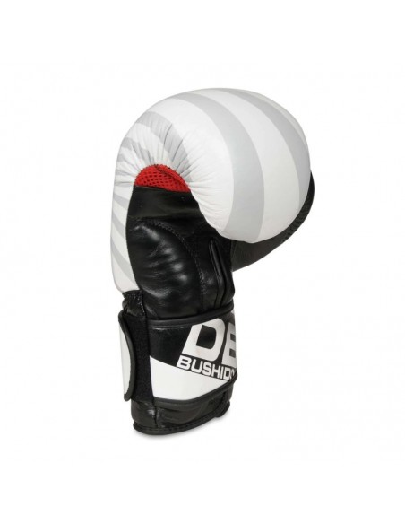 10oz Boxing Gloves Japan Valor Series
