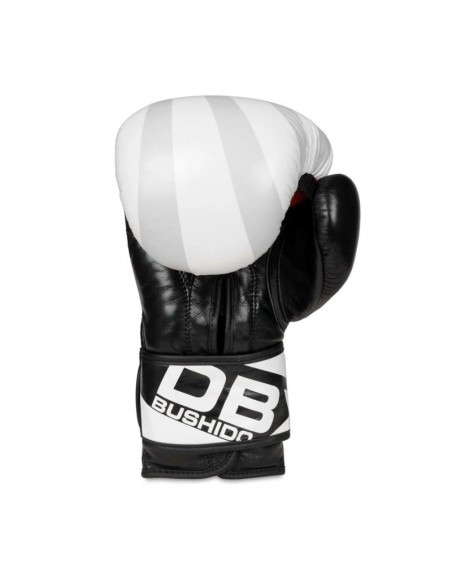 10oz Boxing Gloves Japan Valor Series
