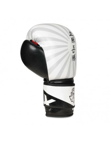 10oz Boxing Gloves Japan Valor Series