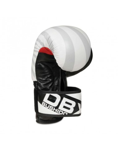 10oz Boxing Gloves Japan Valor Series