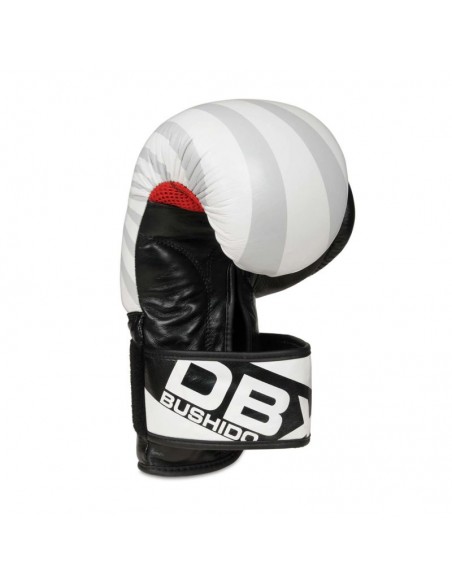 10oz Boxing Gloves Japan Valor Series