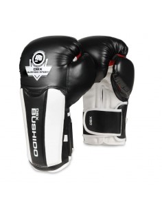 10oz Boxing Gloves Phantom...
